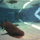 Image for article titled 22 Awesome Science & Infrastructure Webcams From Around the World